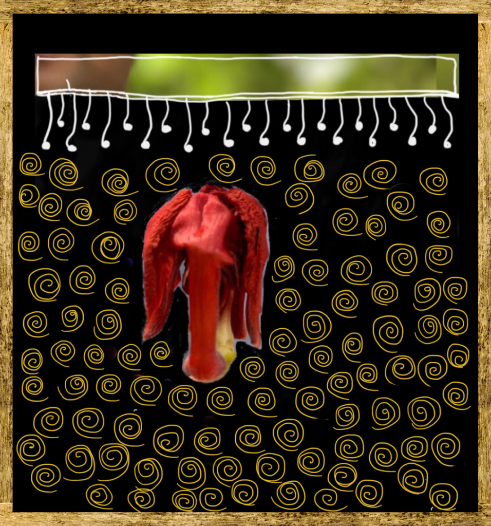 Traditions can be timeless!